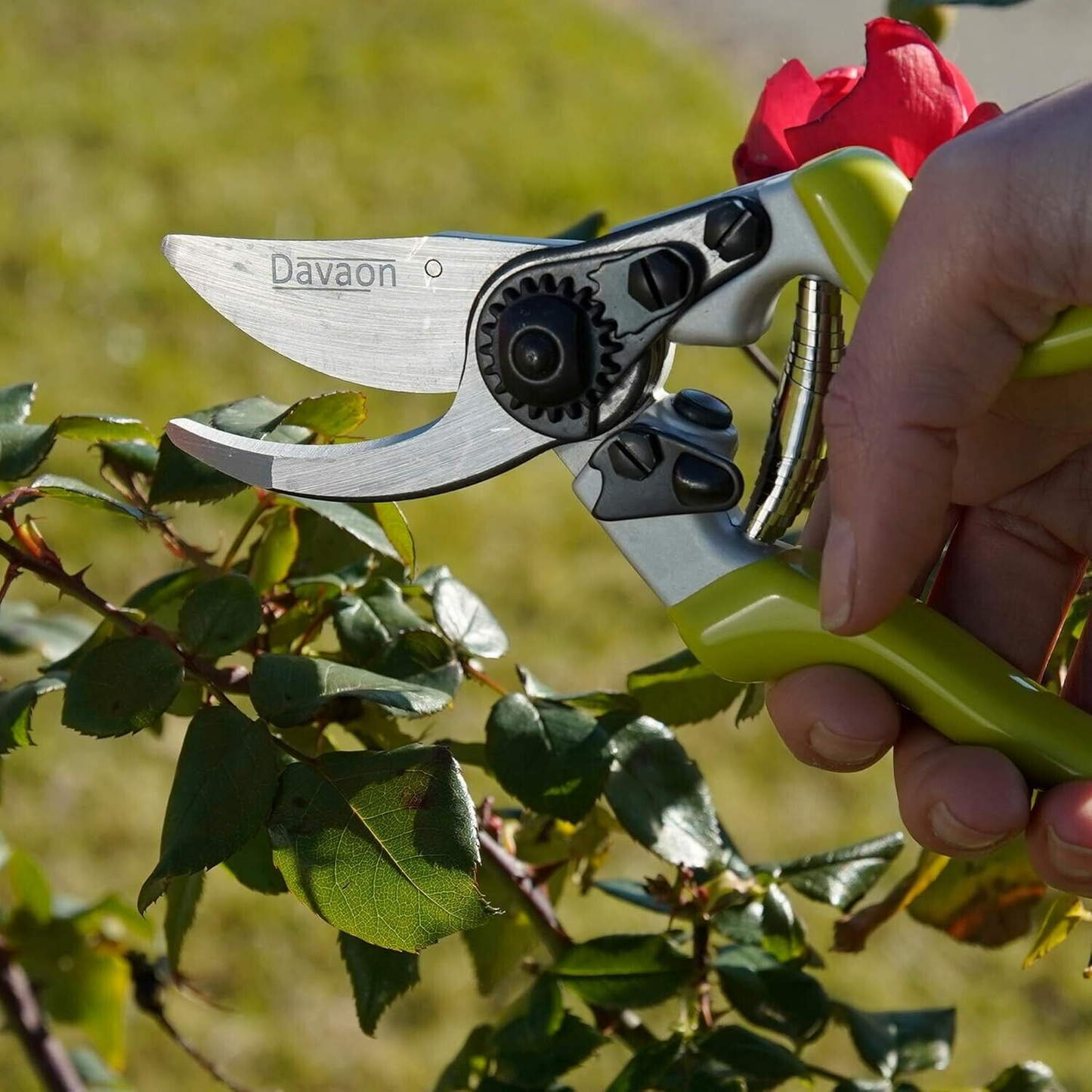Davaon Bypass Secateurs Pruning Shears