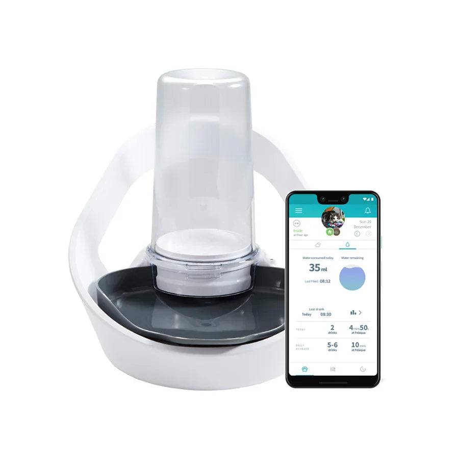 Sure Petcare Felaqua Connect Smart Pet Water Bowl – White | Connected Hydration Monitor for Cats & Small Dogs