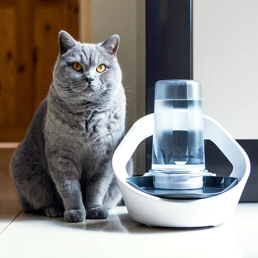 Sure Petcare Felaqua Connect Smart Pet Water Bowl – White | Connected Hydration Monitor for Cats & Small Dogs